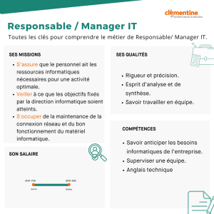 Responsable / Manager IT